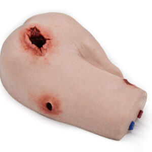 SimBodies Trainer, Wound Packing on Shoulder