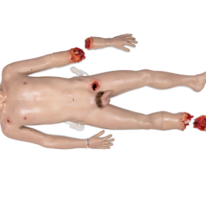 SimBodies Trainer, Pro Male Manikin