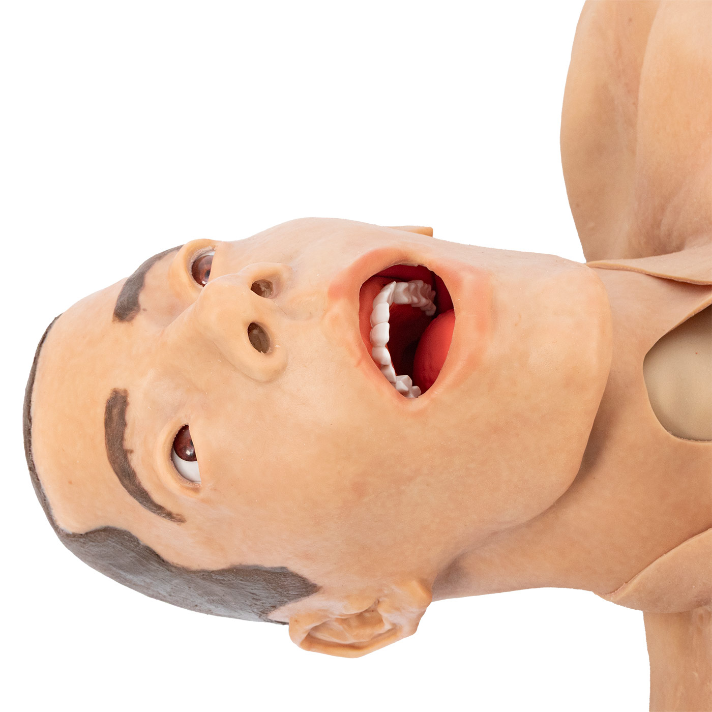 TOMManikin GSW with Amputation - Image 5