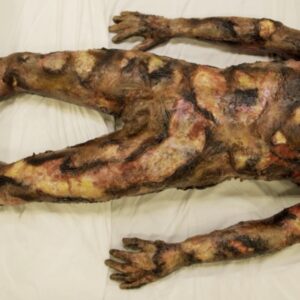 SimBodies Lifeless Burnt Manikin