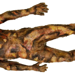 SimBodies Lifeless Burnt Manikin
