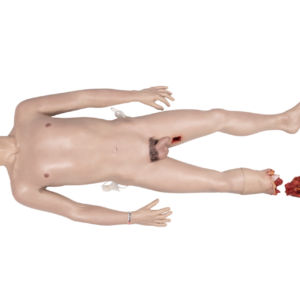 SimBodies EMS Man