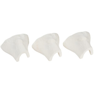 IO in a Box Bone Insert Replacement - Pack of 3