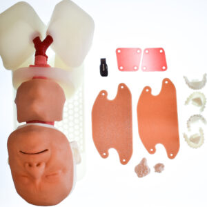 Airway Management Task Trainer - Male / Elderly Male / Female / Anaphylaxis
