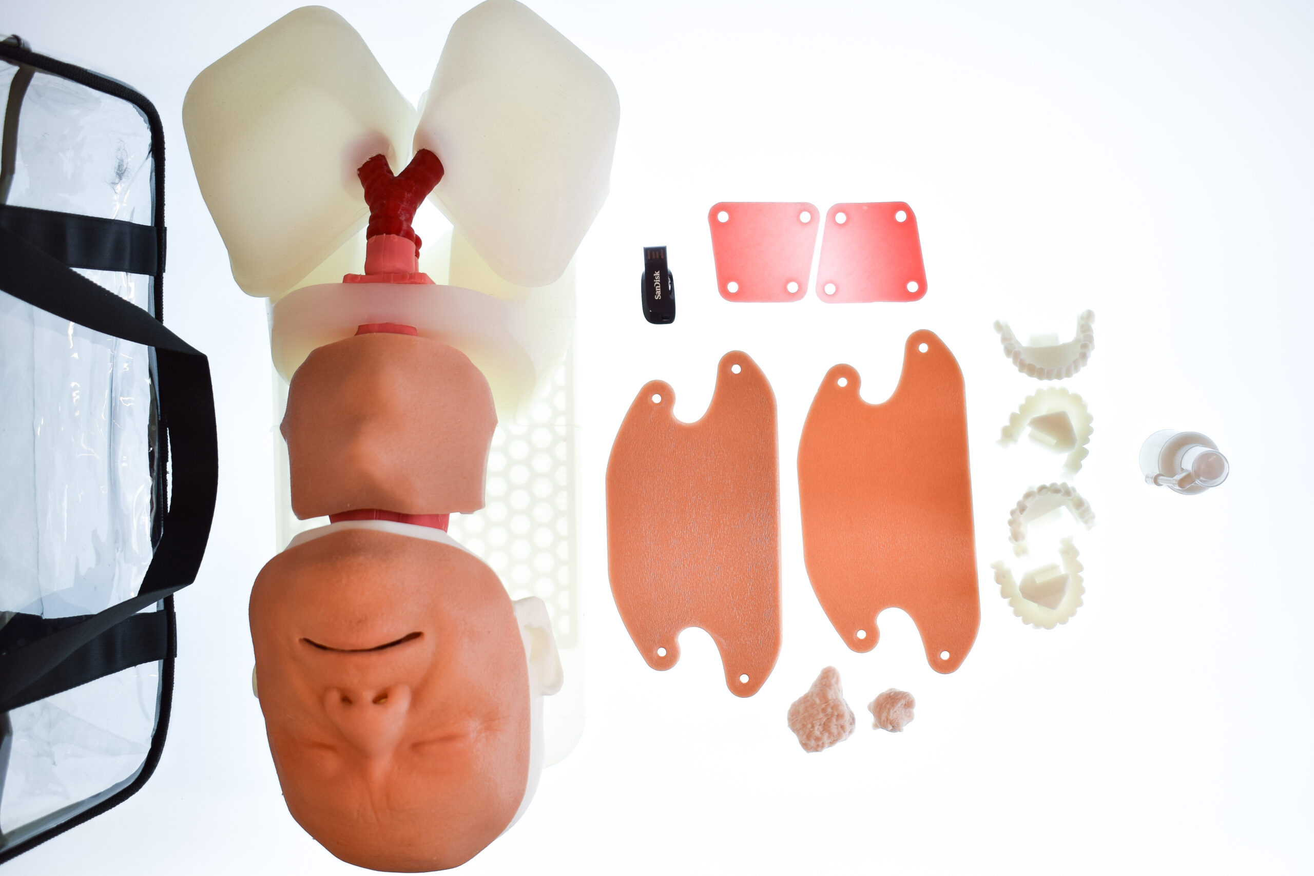 Airway Management Task Trainer - Male / Elderly Male / Female / Anaphylaxis