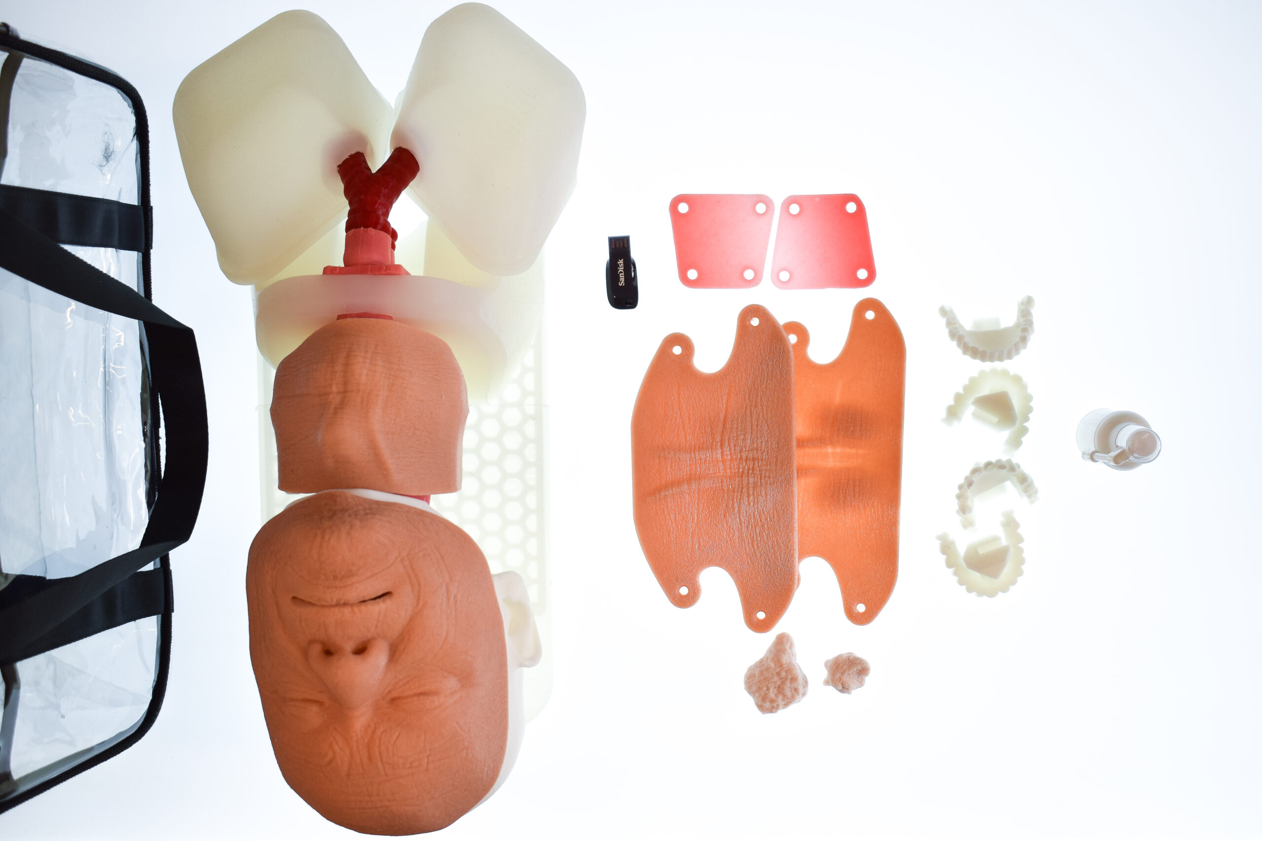 Airway Management Task Trainer - Male / Elderly Male / Female / Anaphylaxis - Image 2