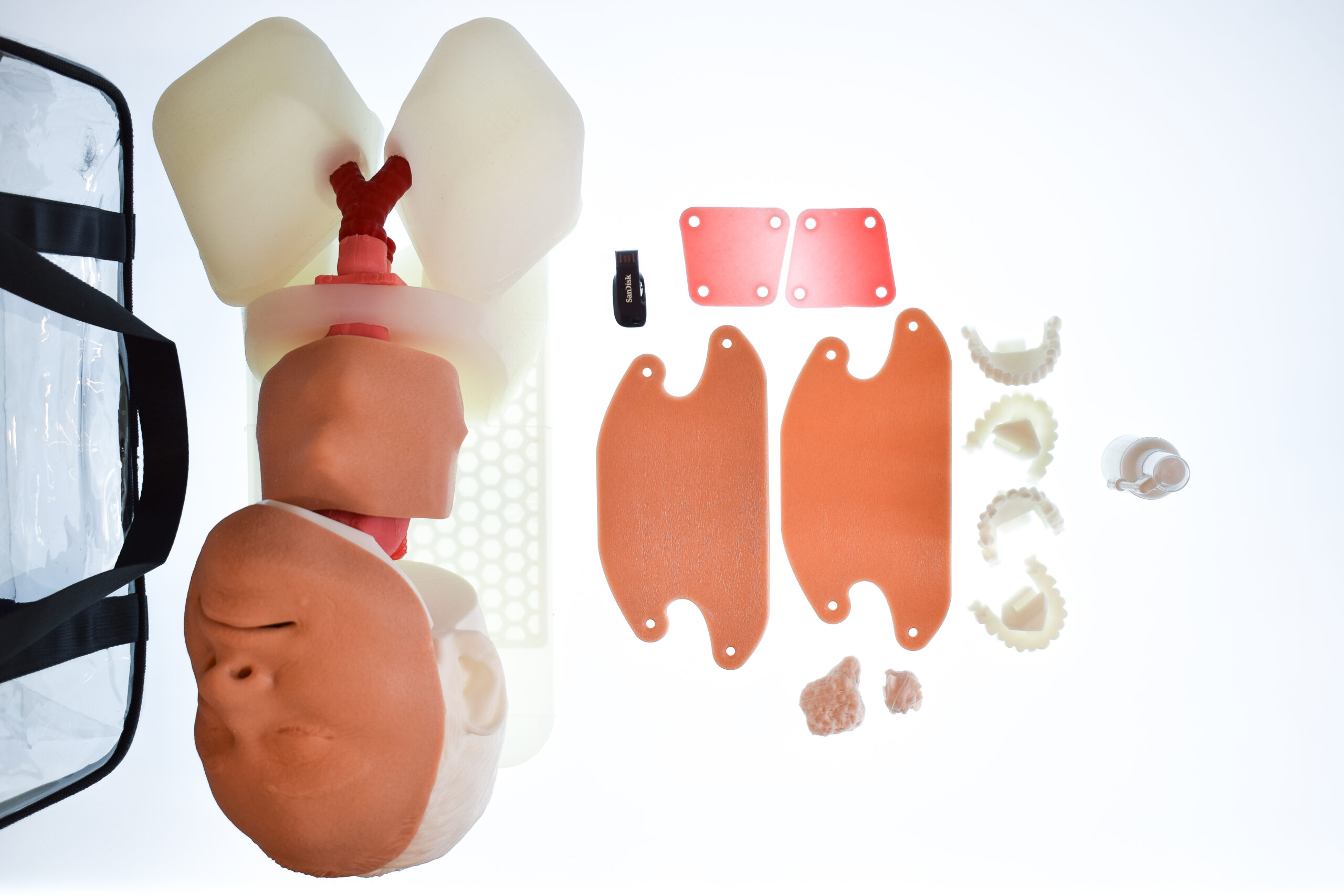 Airway Management Task Trainer - Male / Elderly Male / Female / Anaphylaxis - Image 3