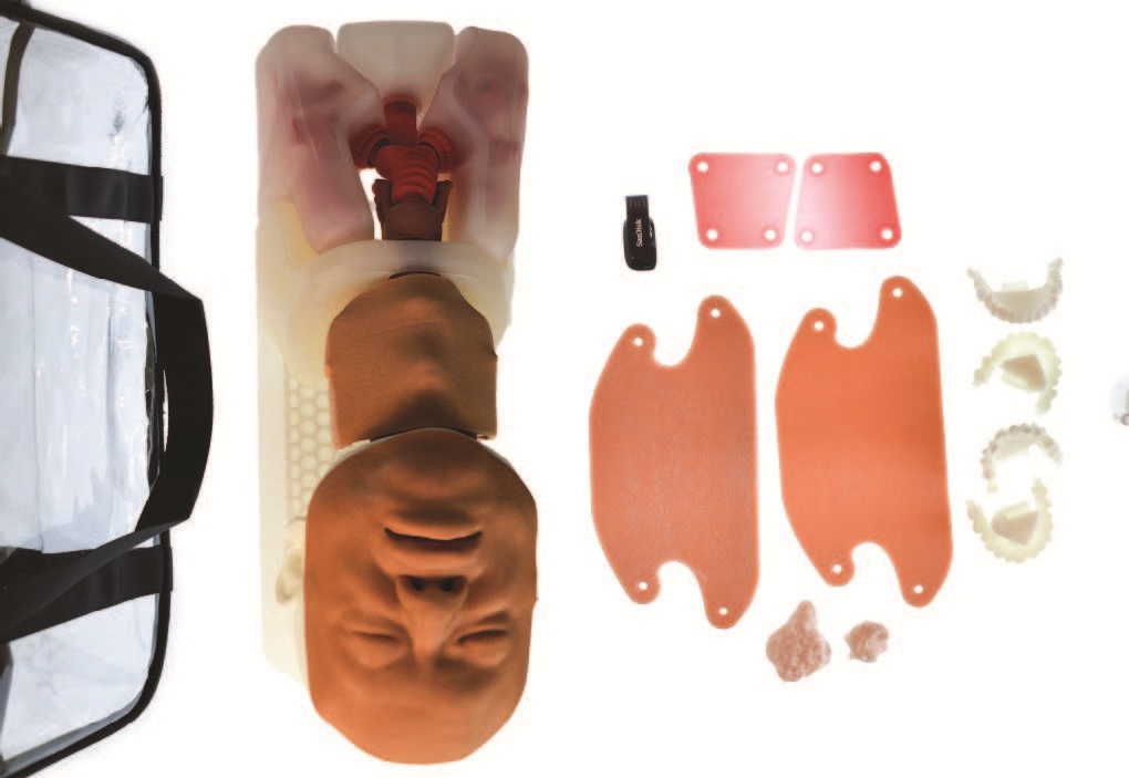 Airway Management Task Trainer - Male / Elderly Male / Female / Anaphylaxis - Image 4