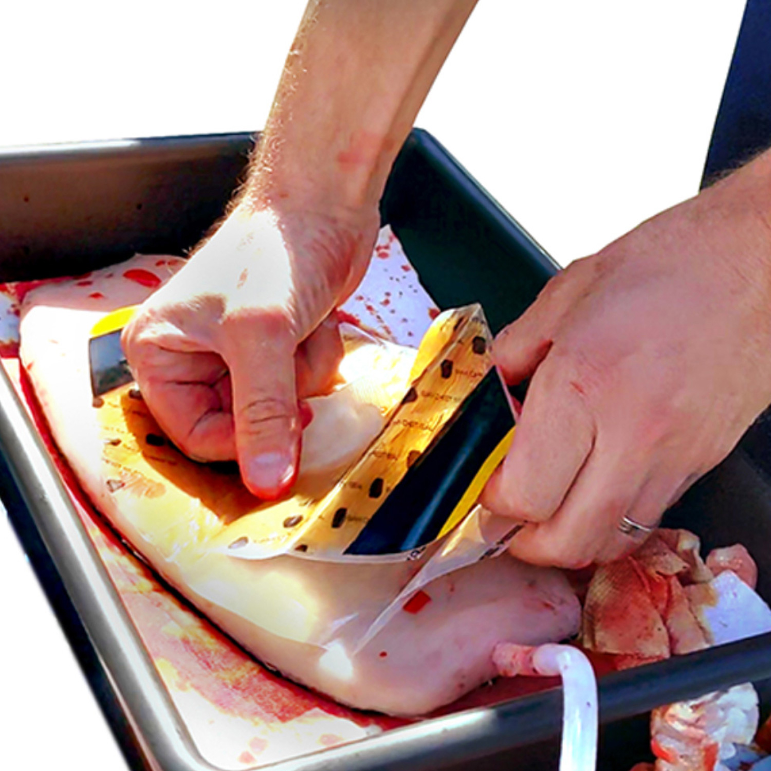 TrueClot Wearable Chest Seal Application Trainer (CSAT) - Image 4