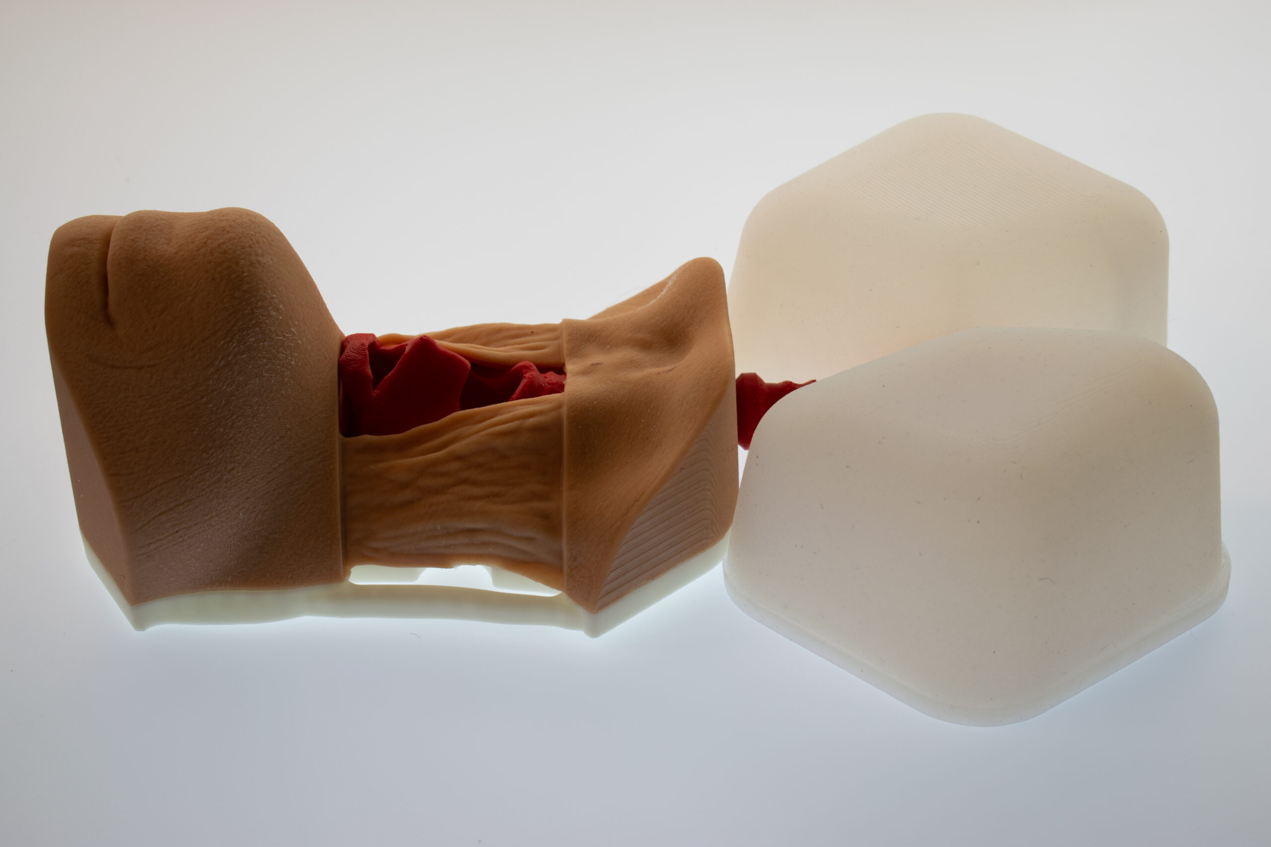 Cricothryoidotomy Task Trainer - Image 3