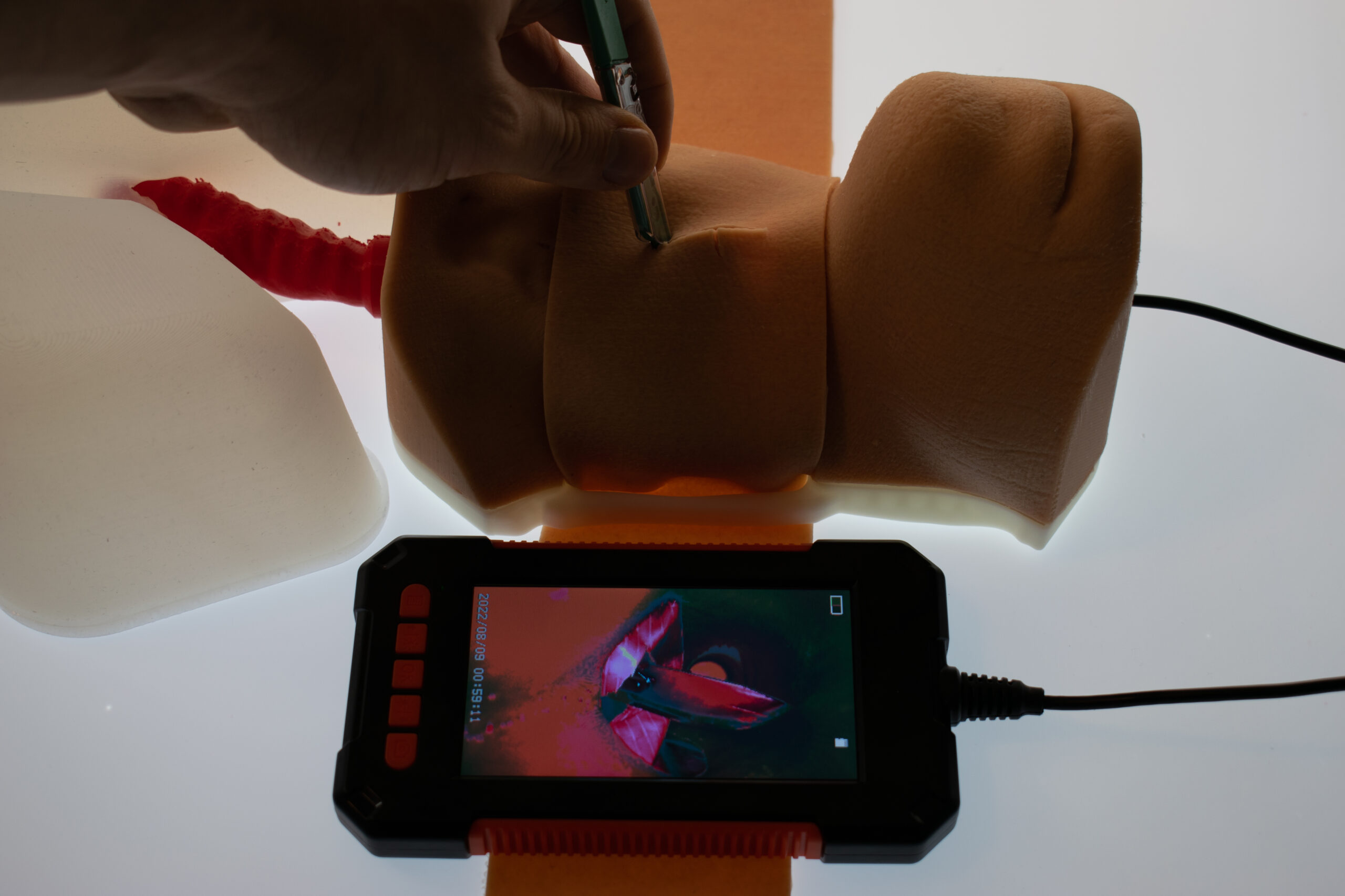 Cricothryoidotomy Task Trainer - Image 4