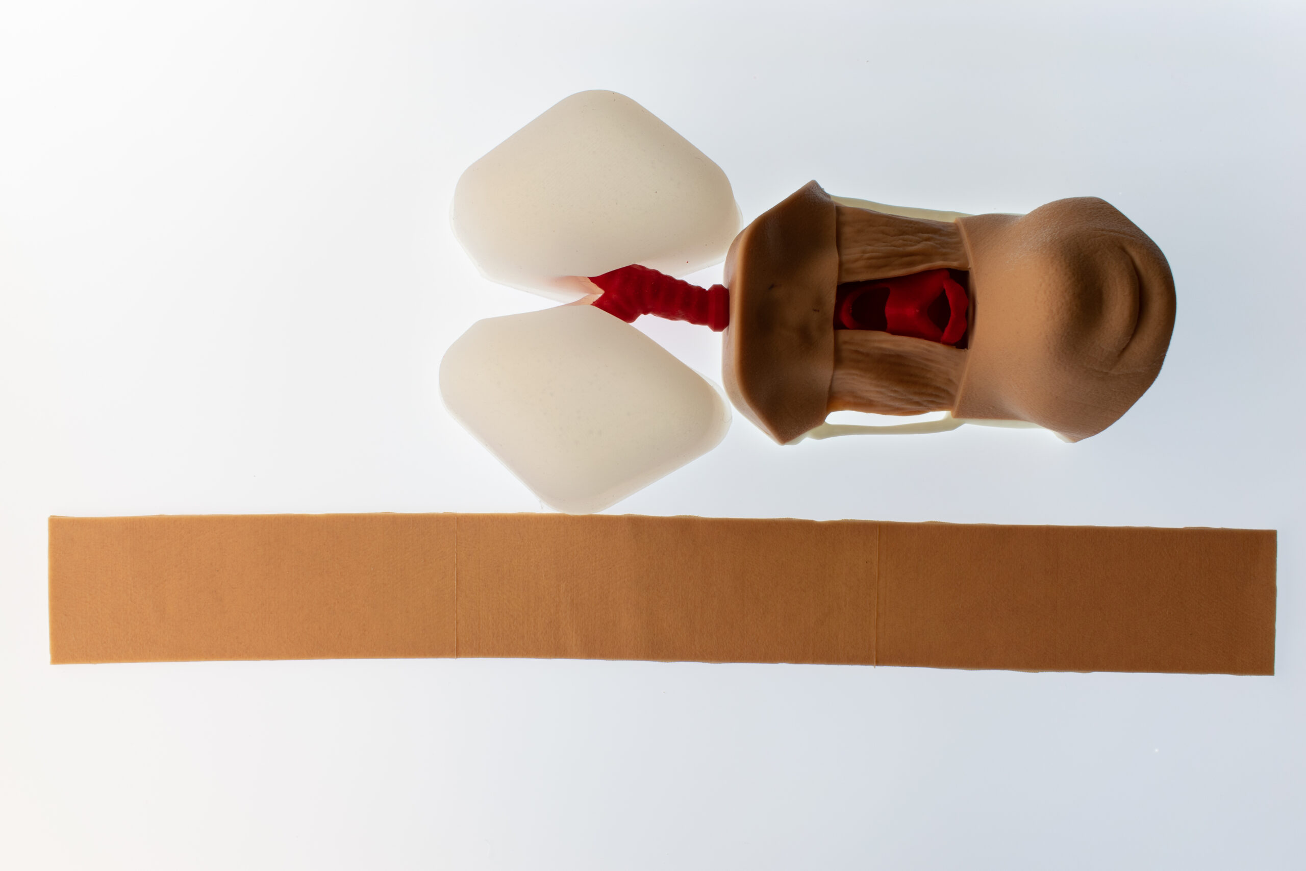 Cricothryoidotomy Task Trainer - Image 5