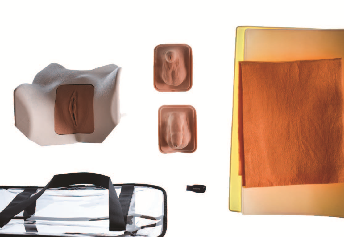 Catheterization Task Trainer
