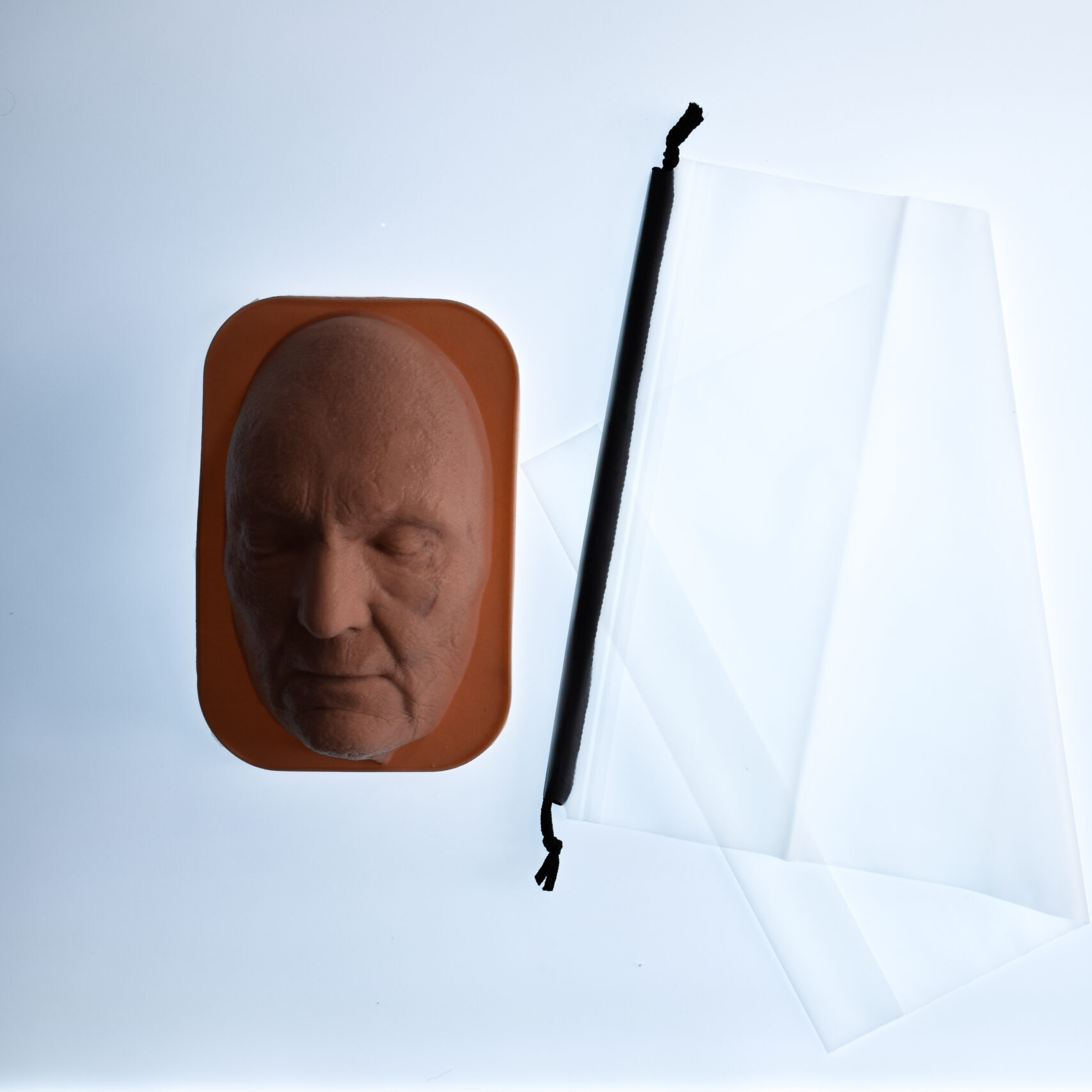 Decent Simulators Facial Laceration Suturing Essential Task Trainer