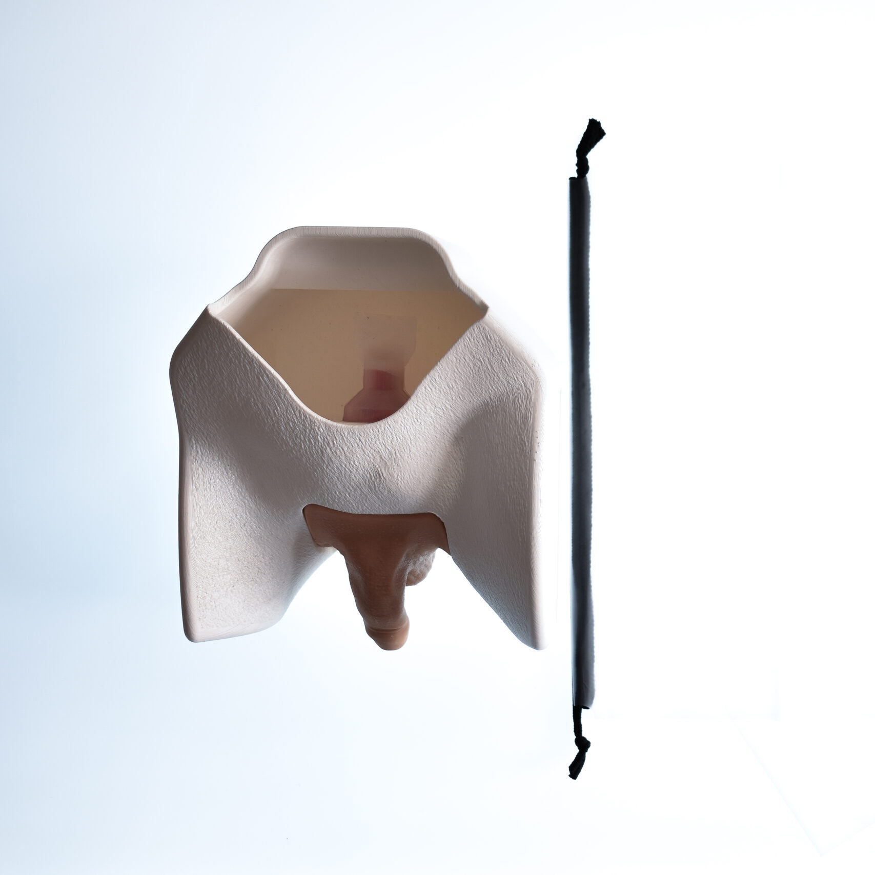 Decent Simulators Catheterization Essential Task Trainer - Image 2
