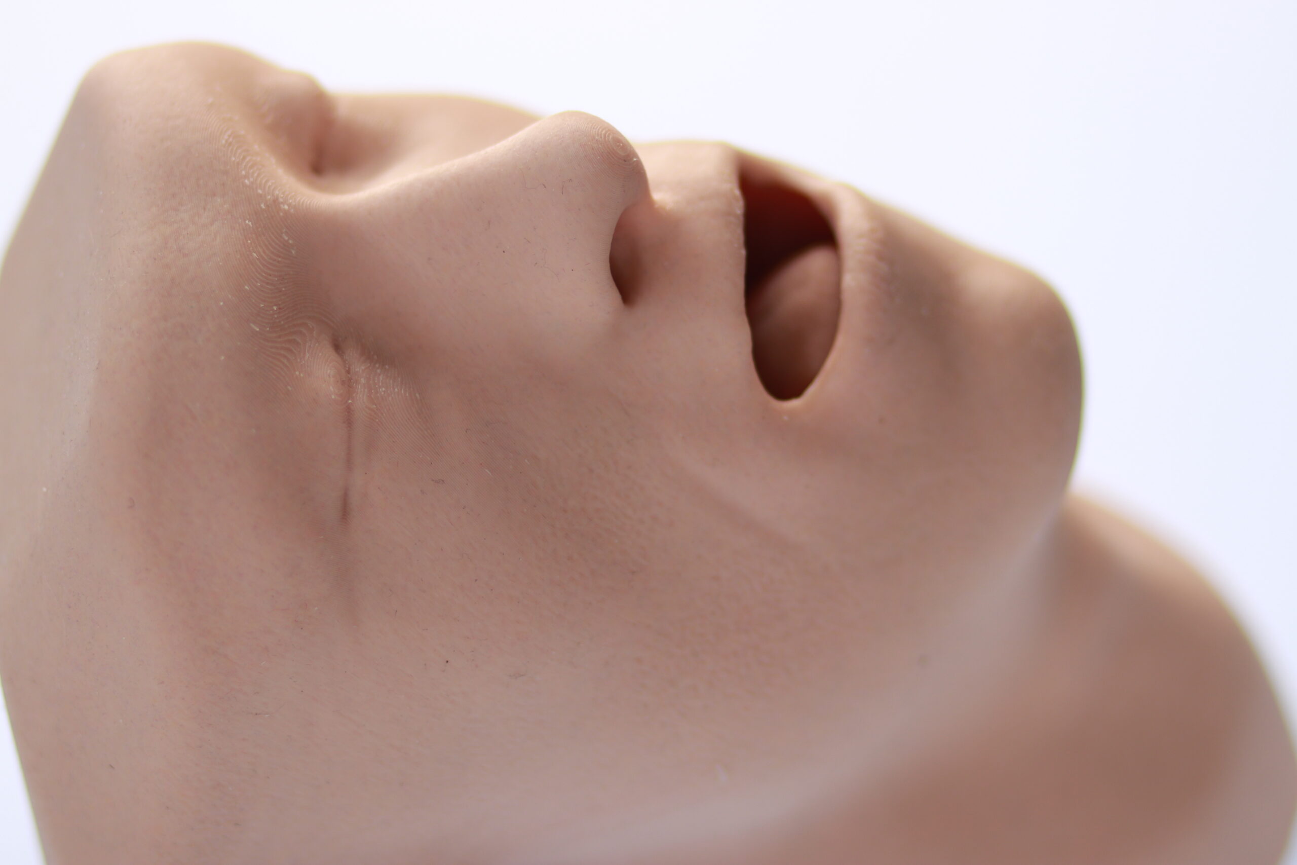 Airway Adjunct Placement Trainer - Image 5