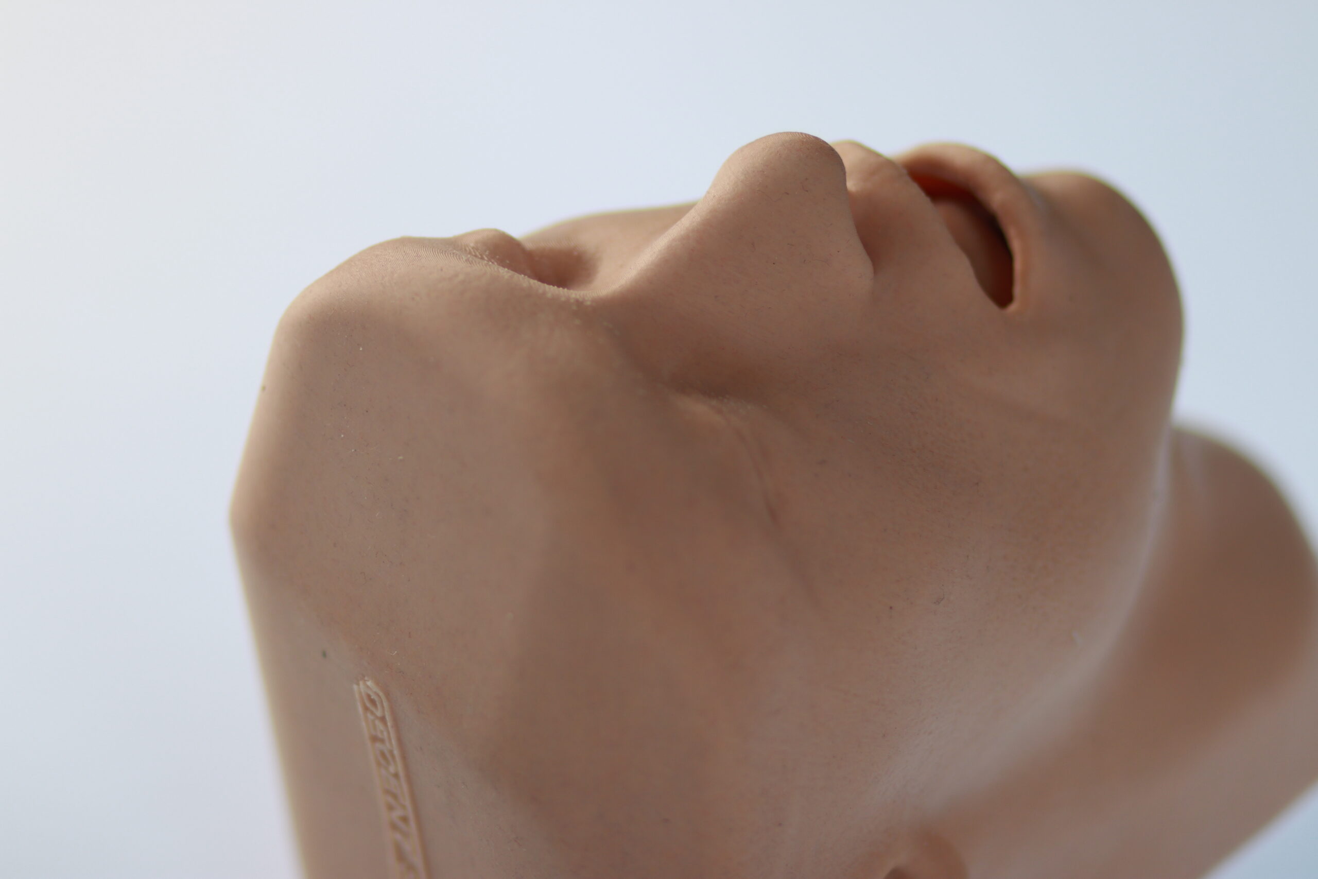 Airway Adjunct Placement Trainer - Image 4