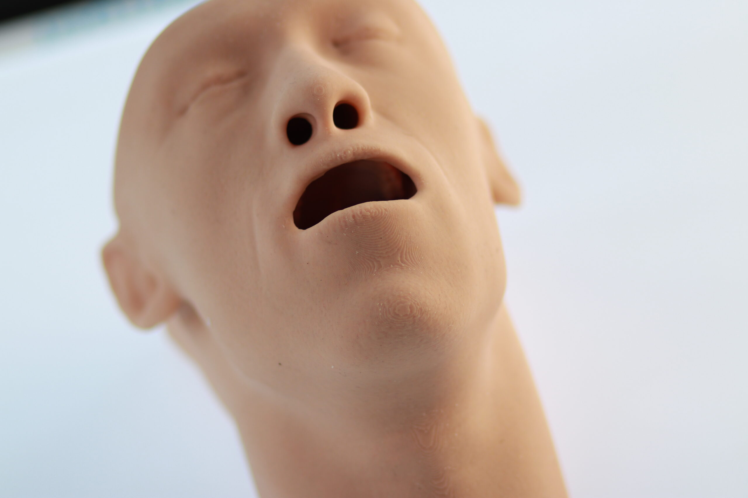 Airway Adjunct Placement Trainer - Image 3