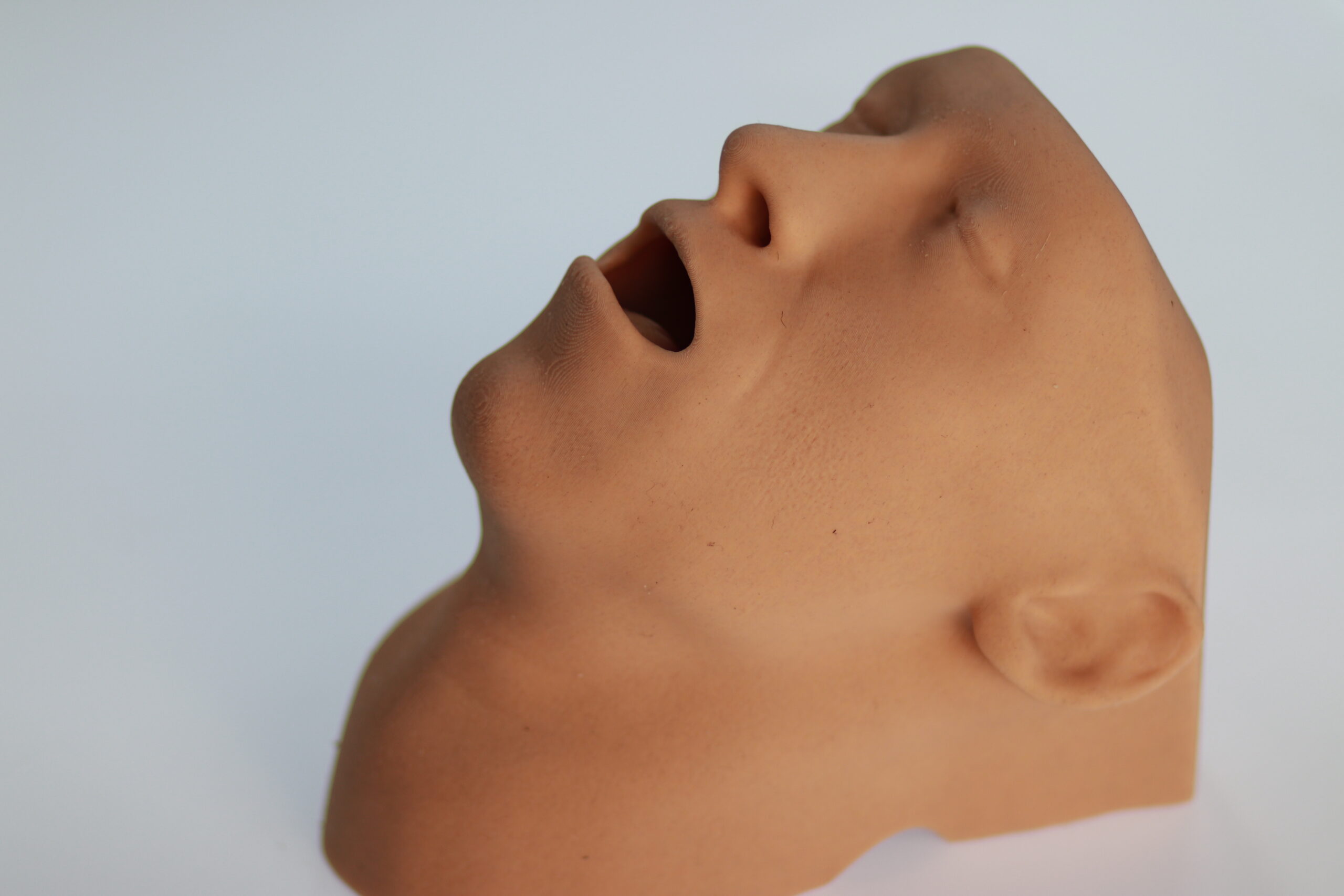 Airway Adjunct Placement Trainer - Image 2