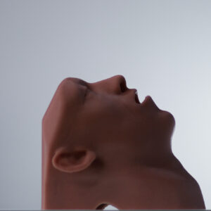 Airway Adjunct Placement Trainer