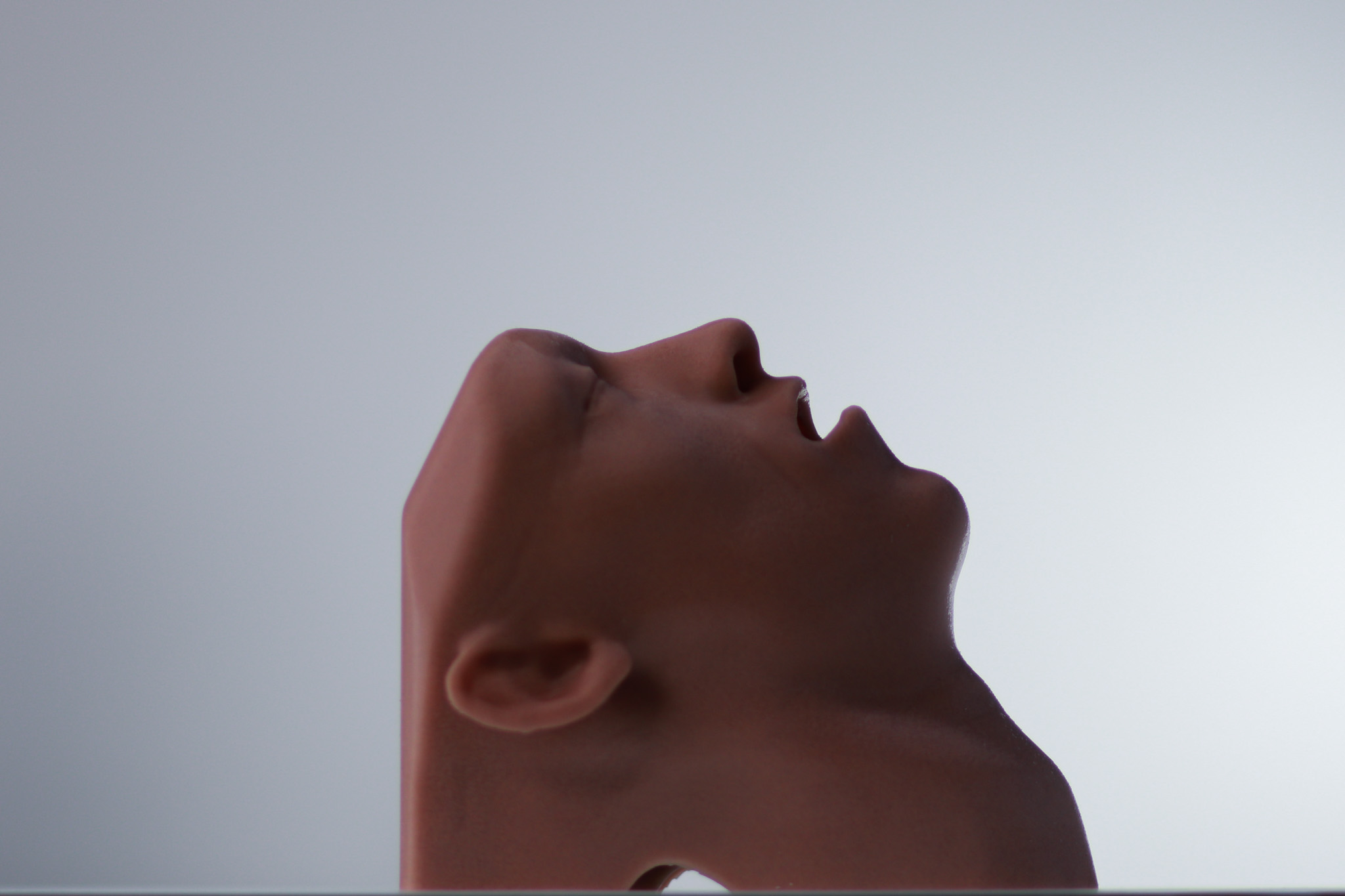 Airway Adjunct Placement Trainer