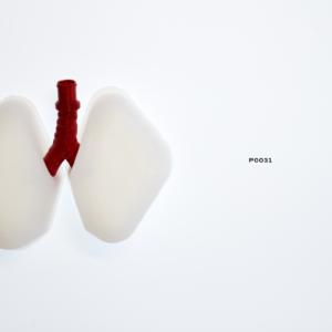 Cricothyroidotomy Task Trainer - Spare Trachea & Lungs