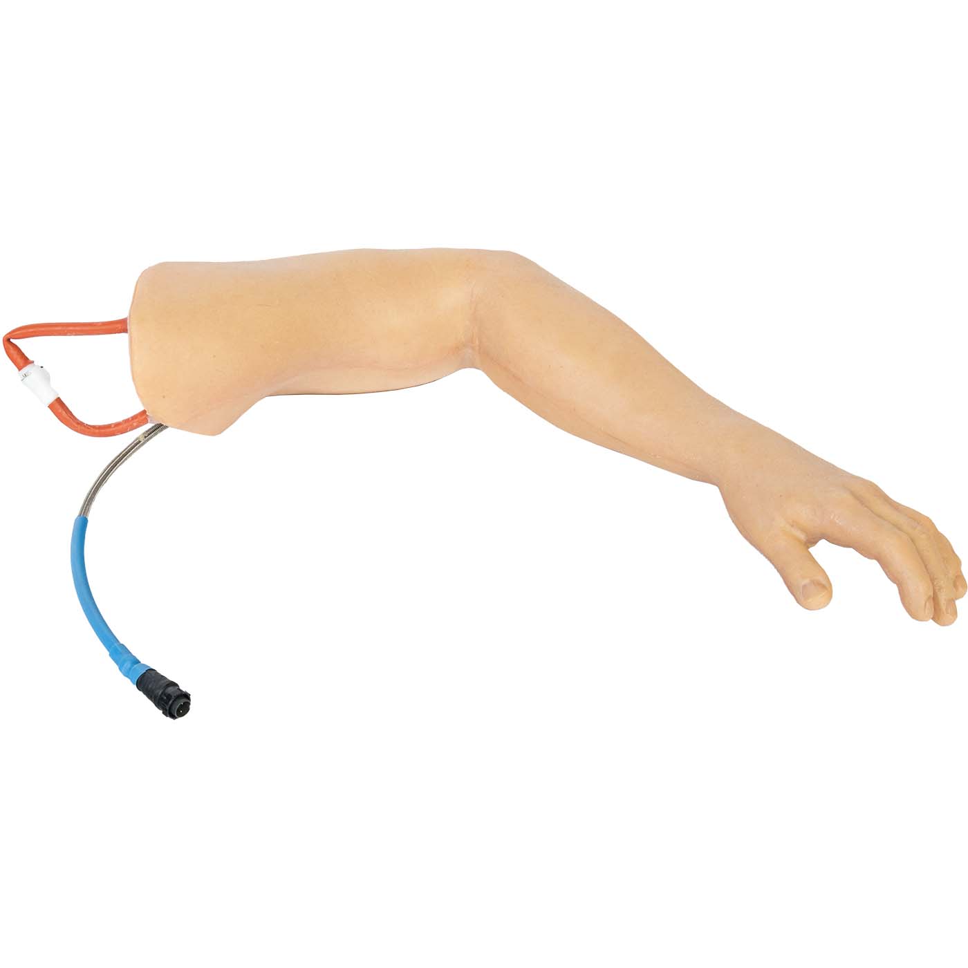 TOMManikin Left Arm Uninjured