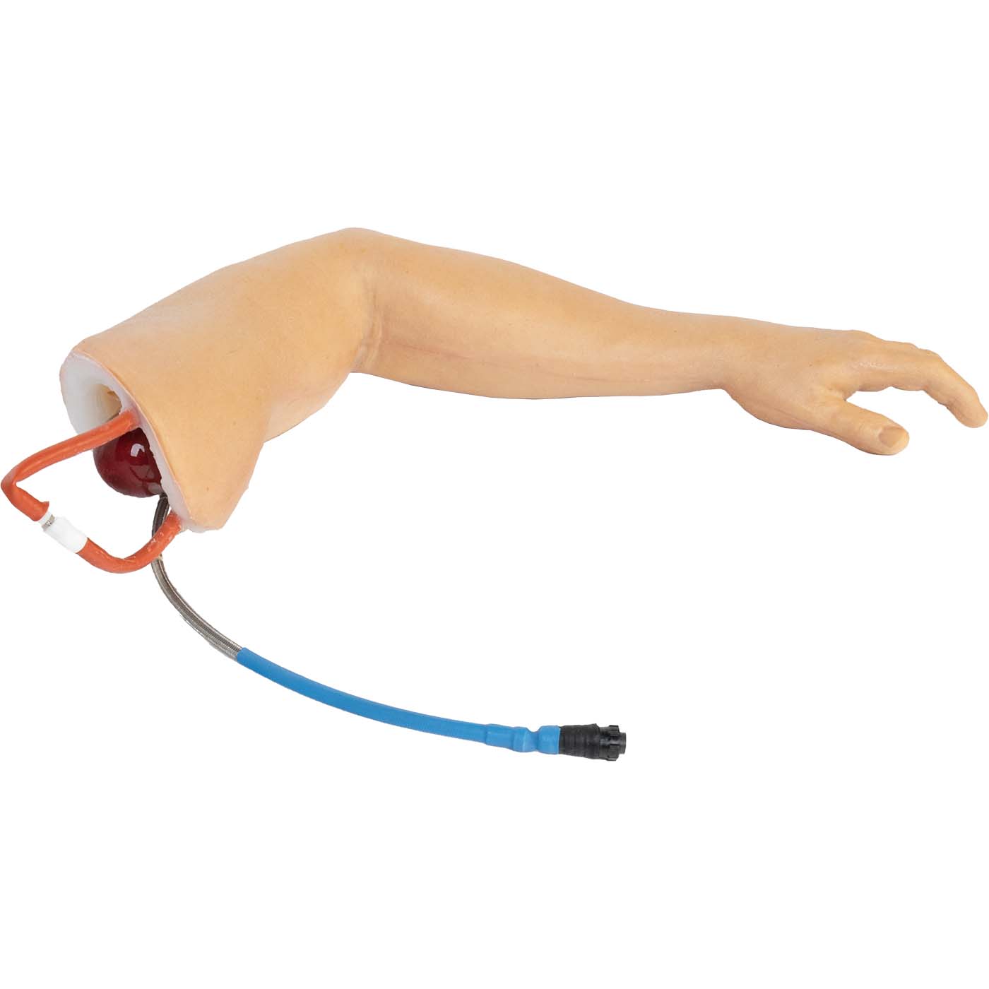 TOMManikin Left Arm Uninjured - Image 2