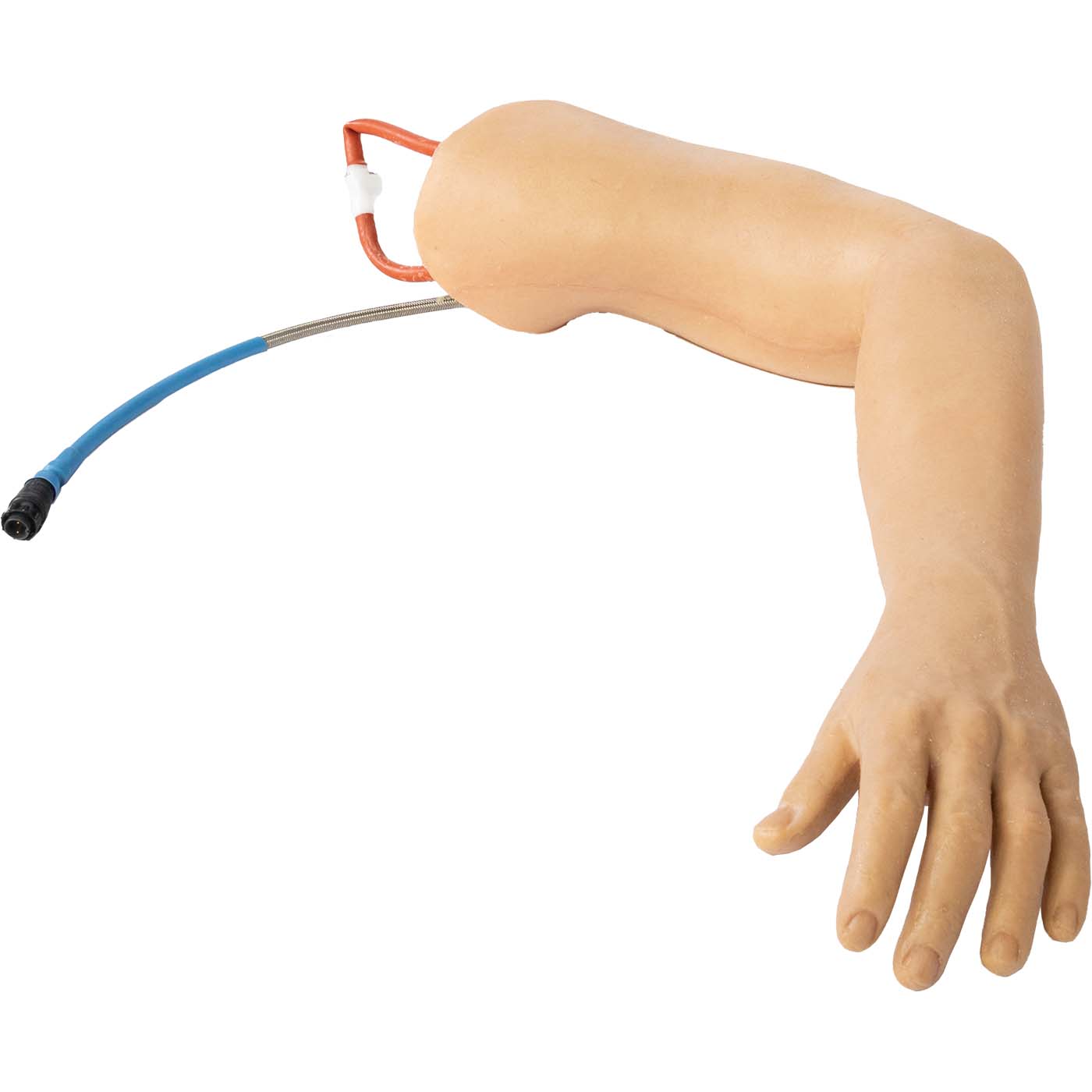 TOMManikin Left Arm Uninjured - Image 3