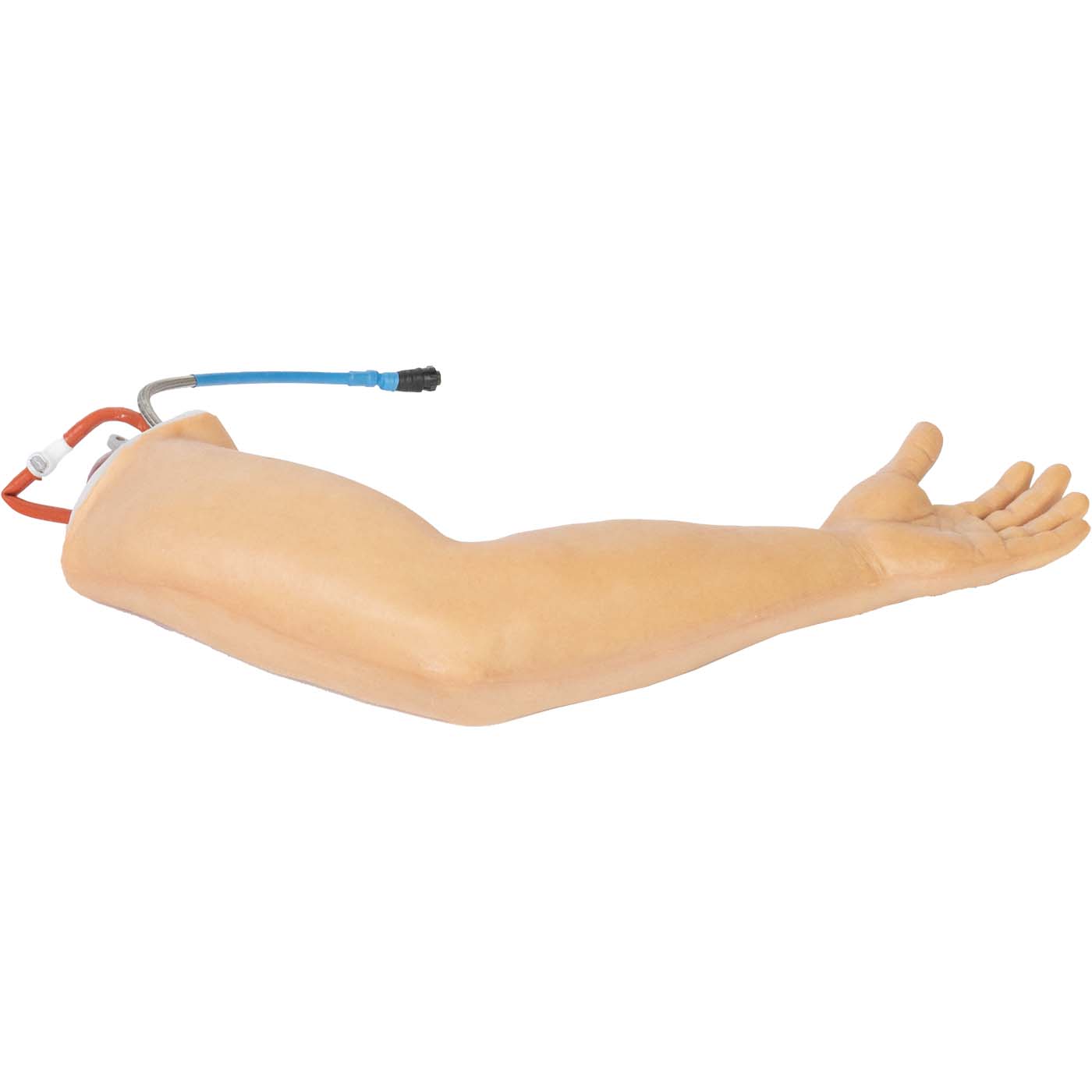 TOMManikin Left Arm Uninjured - Image 4