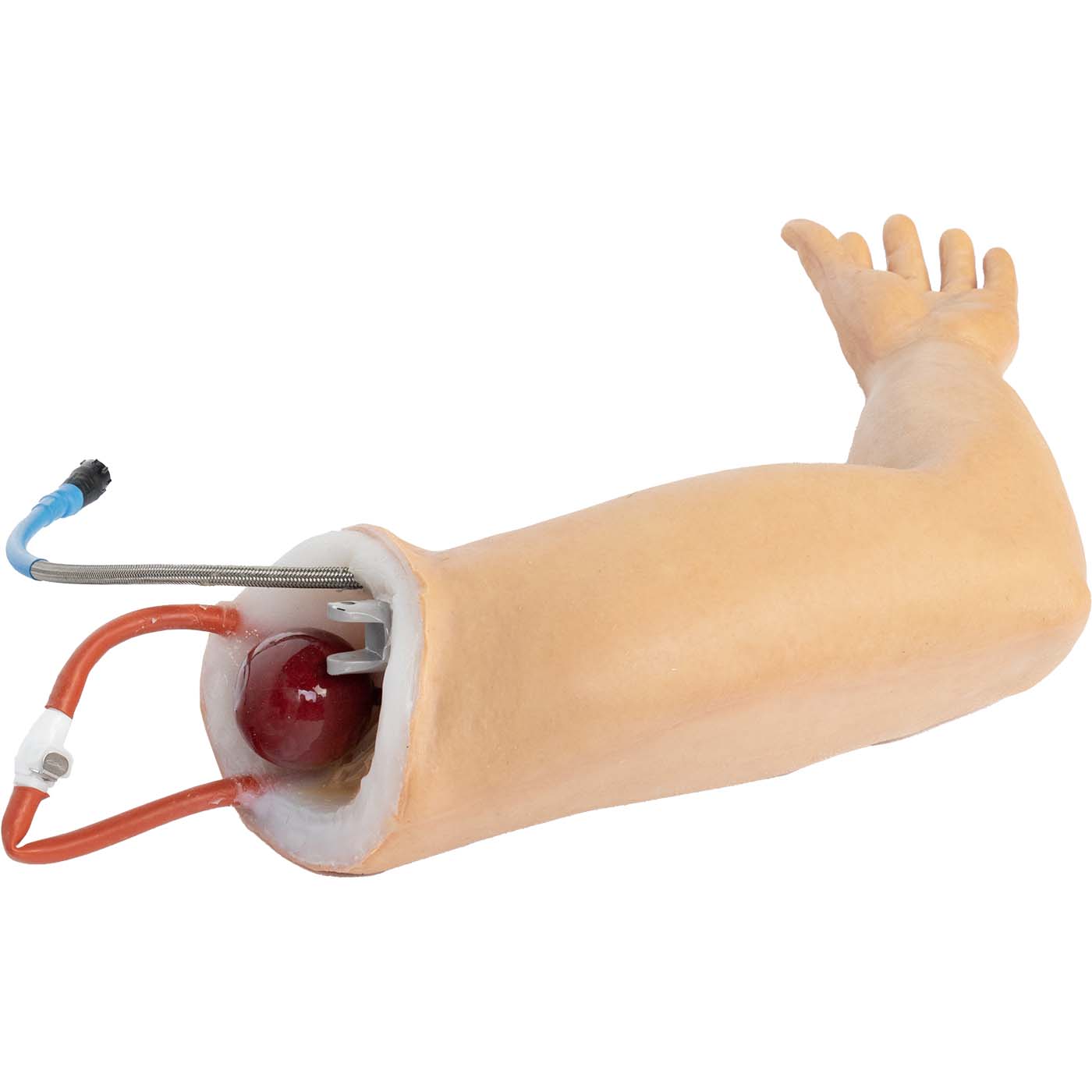 TOMManikin Left Arm Uninjured - Image 5