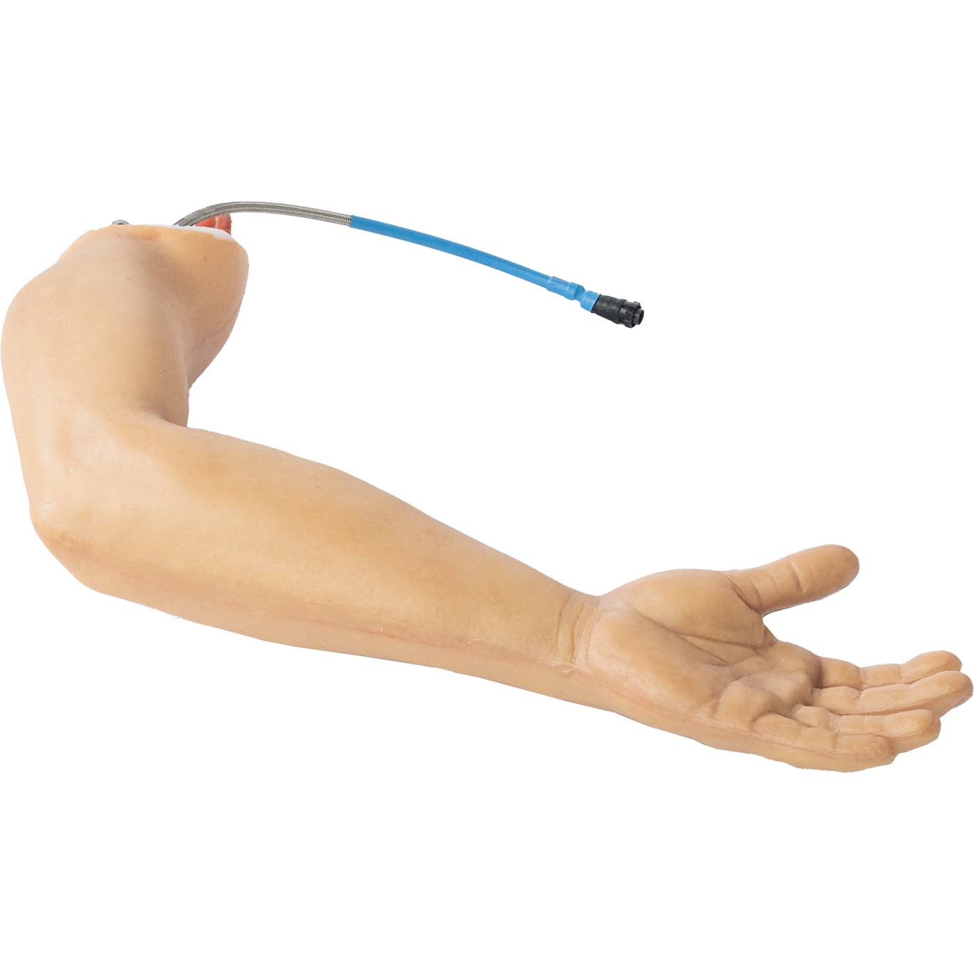 TOMManikin Left Arm Uninjured - Image 6