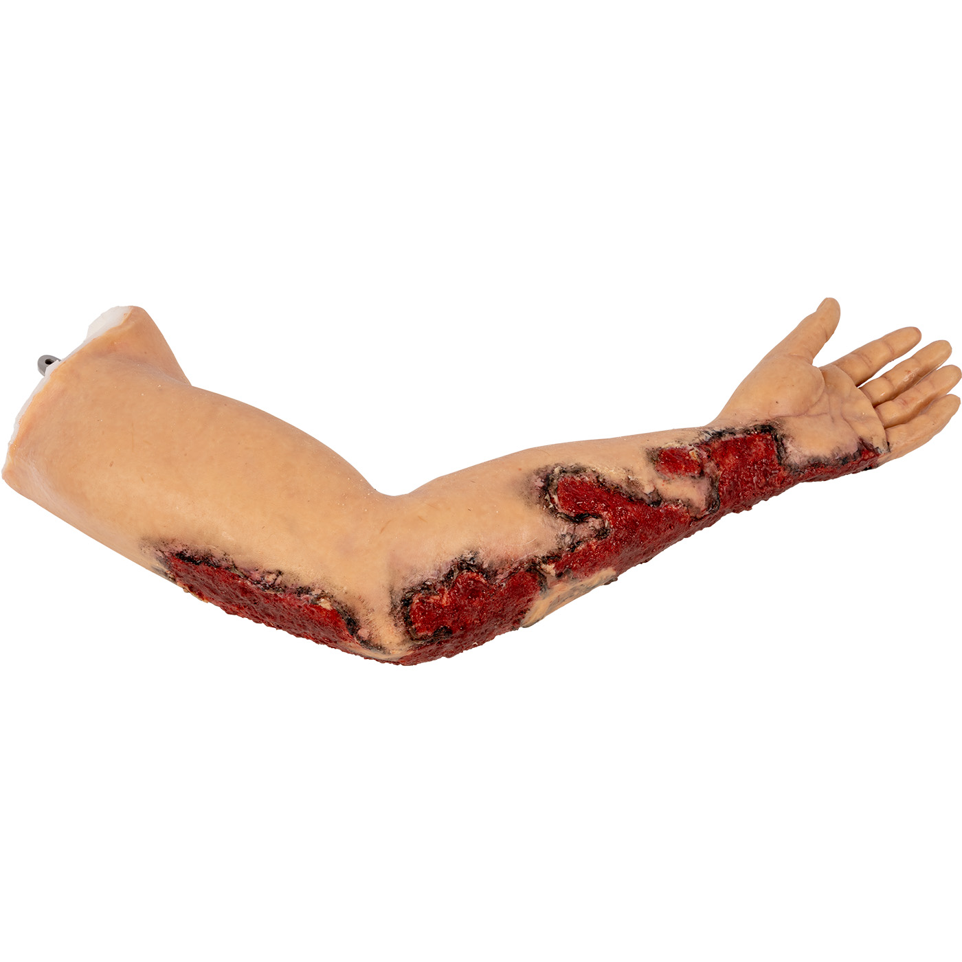 TOMManikin Left Arm with Burns - Image 4