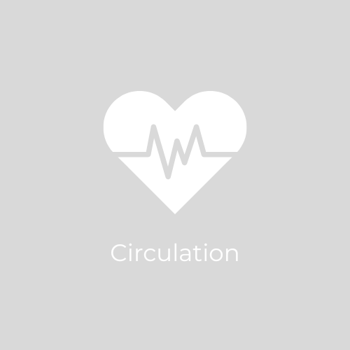 Circulation