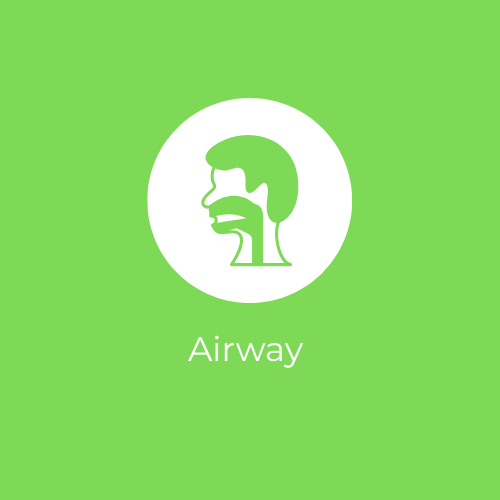 Airway