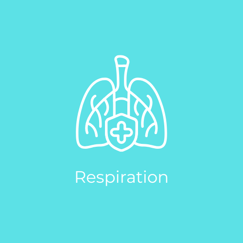 Respiration